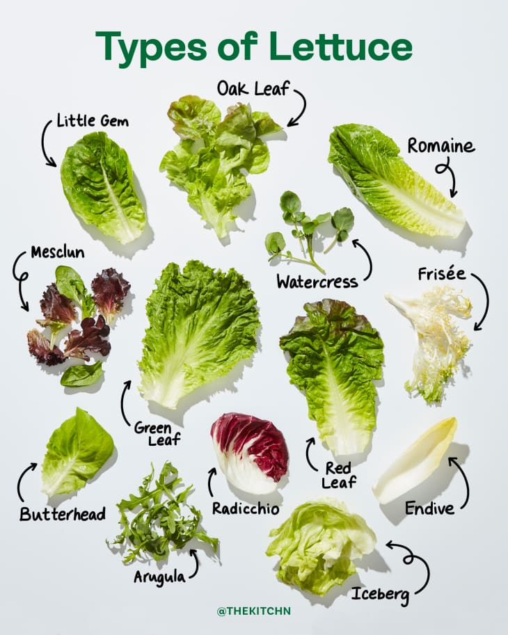 Types of lettuce a visual guide to salad greens the kitchn